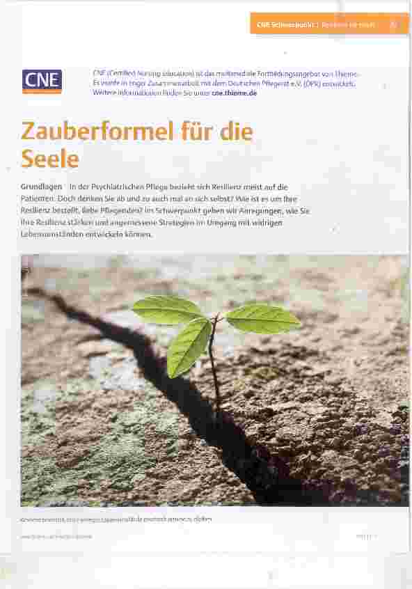 Vorschauseite 1: Zauberformel für die Seele