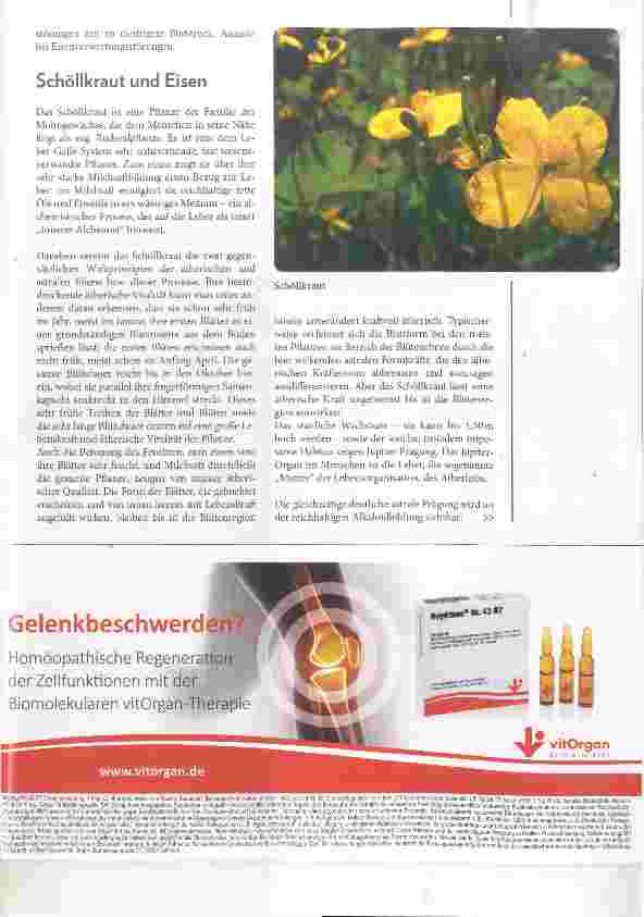 Vorschauseite 3: Die vegetabilisierten Metalle Vegetabilisiertes Eisen