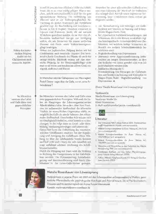Vorschauseite 4: Die vegetabilisierten Metalle Vegetabilisiertes Eisen