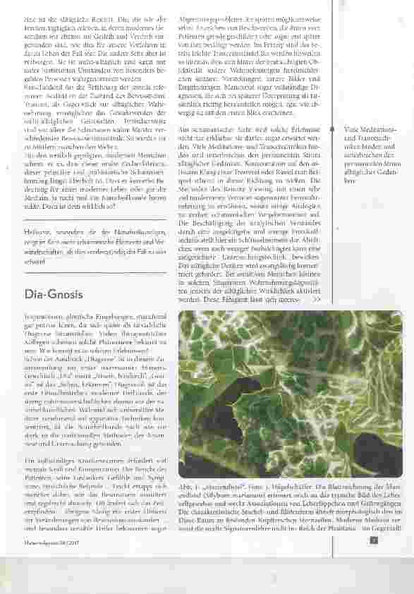 Vorschauseite 2: Die verborgene Wirklichkeit Schamanische Philosophie und Heilkunst