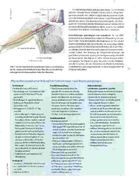 Vorschauseite 2: Mobilisation der Fibrosierung beim Mammakarzinom Die Geigensaiten querdehnen