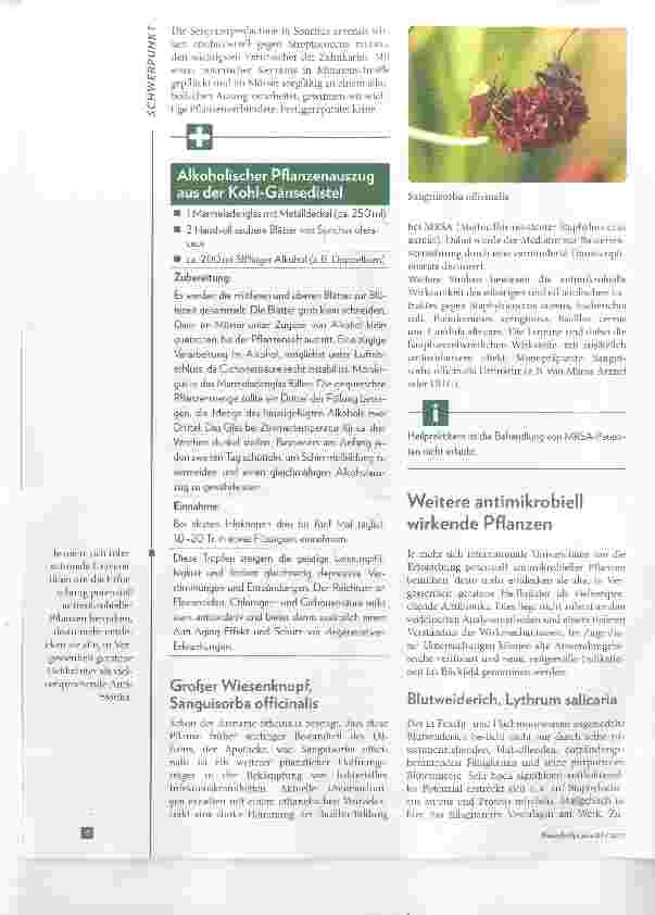 Vorschauseite 3: Pflanzliche Antibiotika