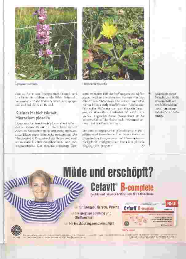 Vorschauseite 4: Pflanzliche Antibiotika