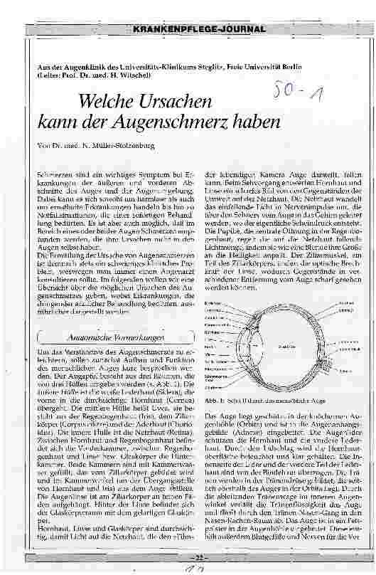 Vorschauseite 1: Welche Ursachen kann der Augenschmerz haben