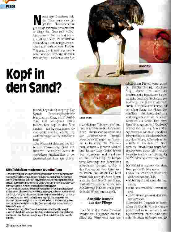 Vorschauseite 1: Kopf in den Sand?