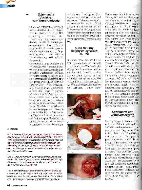 Vorschauseite 2: Dekubitus - Voraussetzungen für die Wundheilung schaffen! Therapie und Prophylaxe chronischer Wunden