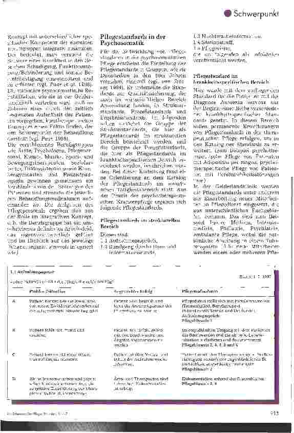 Vorschauseite 2: Pflegestandards in einer Fachklinik für Psychosomatik und Psychotherapie