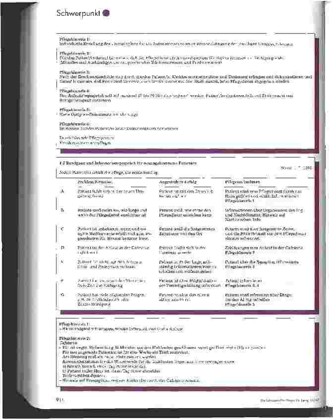Vorschauseite 3: Pflegestandards in einer Fachklinik für Psychosomatik und Psychotherapie