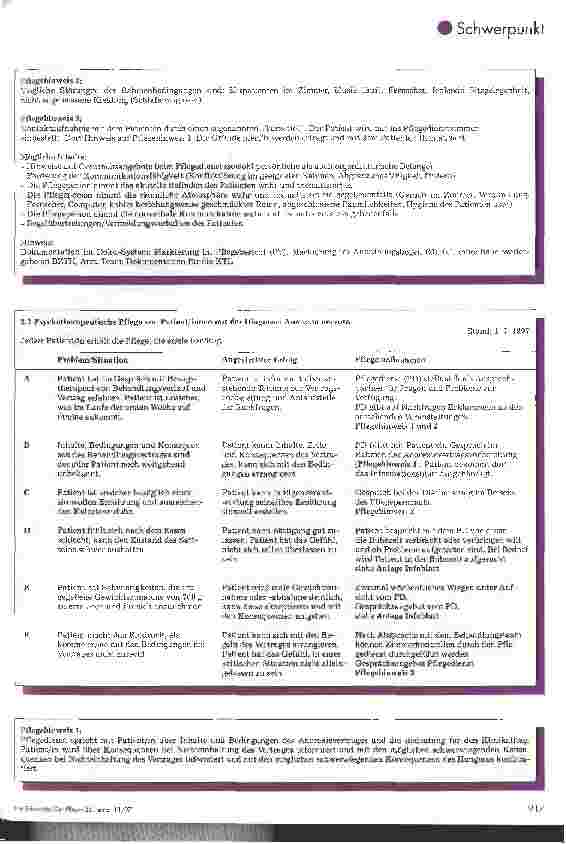 Vorschauseite 6: Pflegestandards in einer Fachklinik für Psychosomatik und Psychotherapie