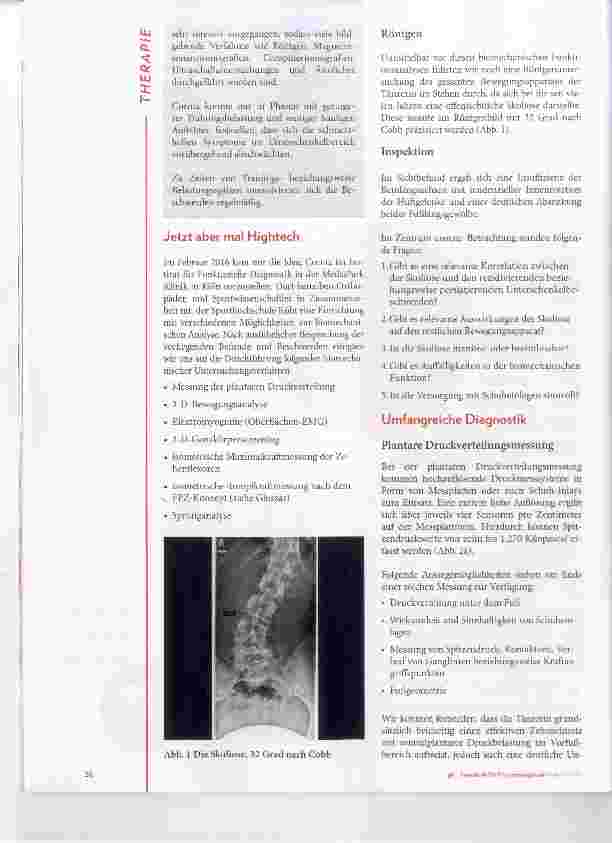 Vorschauseite 2: Return to Sports durch funktionelle Diagnostik