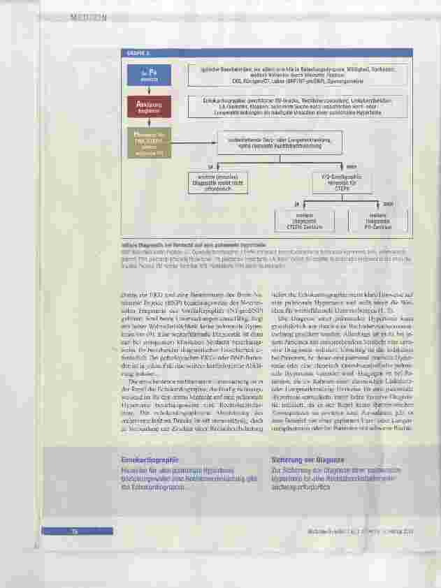 Vorschauseite 4: Pulmonale Hypertonie
