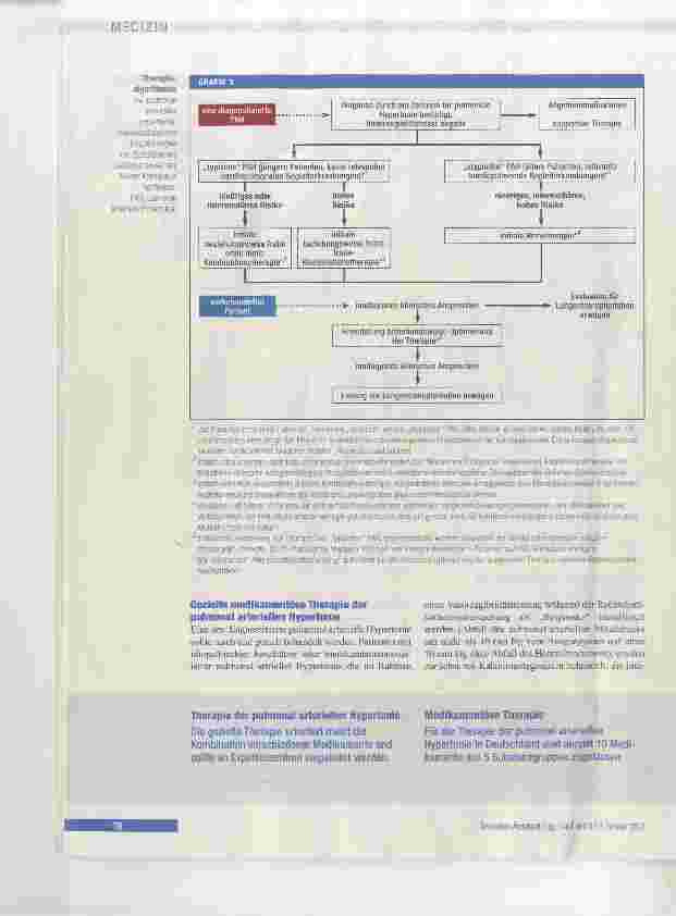 Vorschauseite 6: Pulmonale Hypertonie