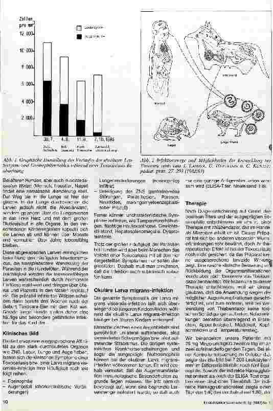 Vorschauseite 2: Toxocariasis (Hundespulwurm-Infektion)