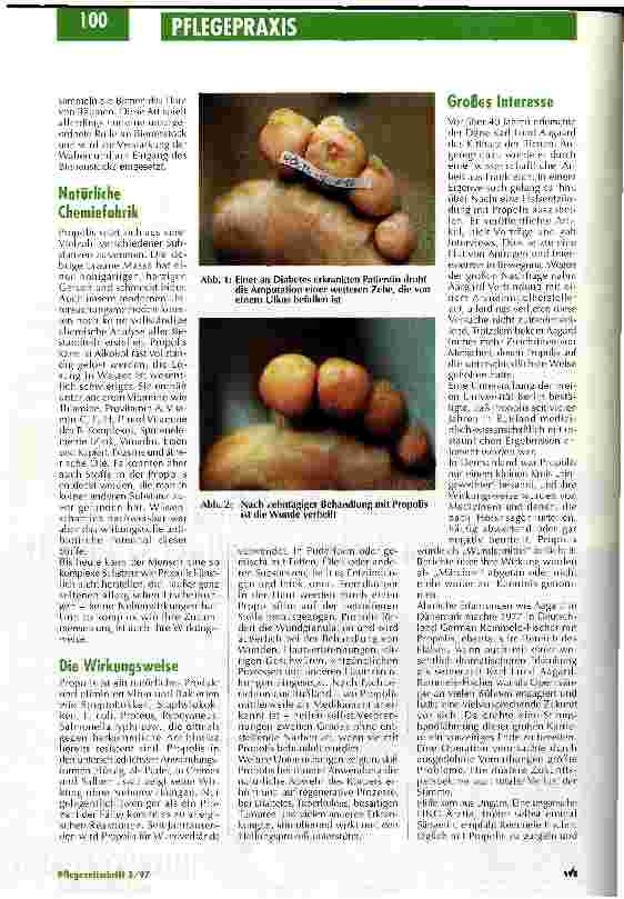 Vorschauseite 3: Mit dem Kittharz der Bienen zu neuer Gesundheit Natürlich heilen mit Propolis