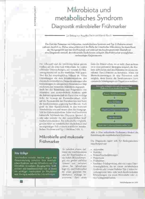 Vorschauseite 1: Mikrobiota und metabolisches Syndrom