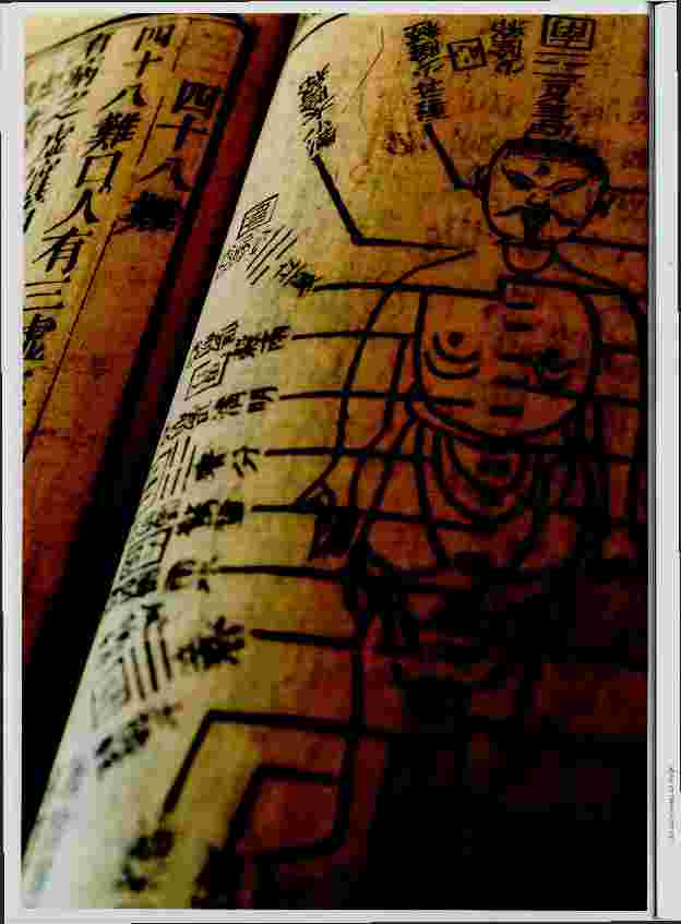 Vorschauseite 1: Traditionelle Chinesische Medizin Bestechendes Angebot