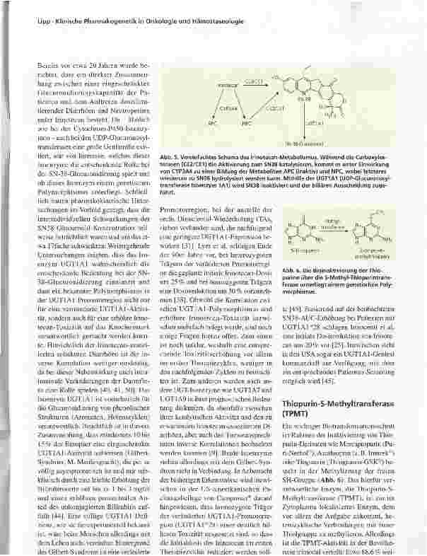 Vorschauseite 4: Klinische Pharmakogenetik in Onkologie und Hämostaseologie