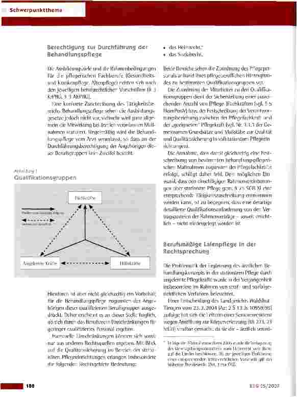 Vorschauseite 3: Neuverteilung der Aufgaben im Gesundheitswesen - Chancen und Risiken für die Pflege