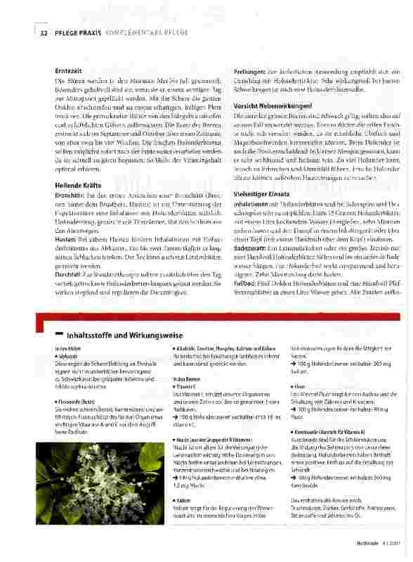 Vorschauseite 2: Holunderduft liegt in der Luft