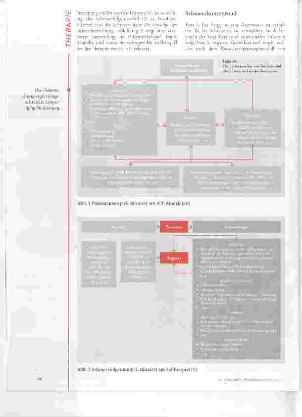 Vorschauseite 3: Reizsummation bei chronischen Rückenschmerzen