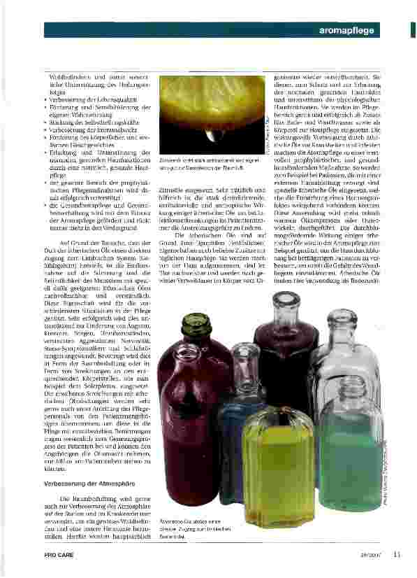 Vorschauseite 2: Moderne Aromapflege