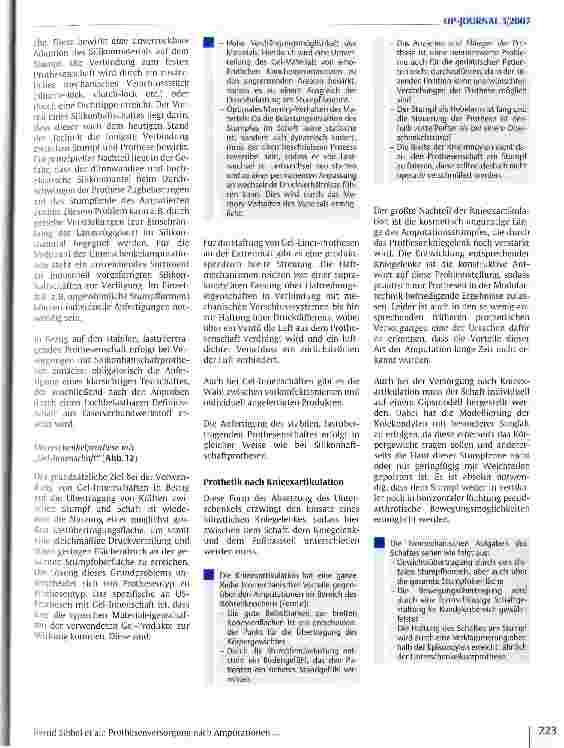 Vorschauseite 6: Prothesenversorgung nach Amputationen an der unteren Extremität