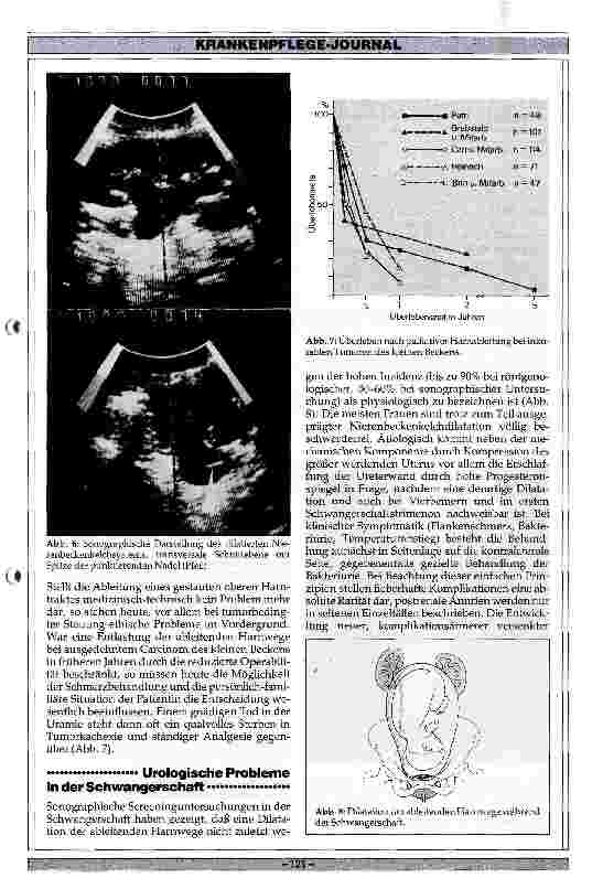 Vorschauseite 4: Neue Tendenzen in der gynäkologischen Urologie
