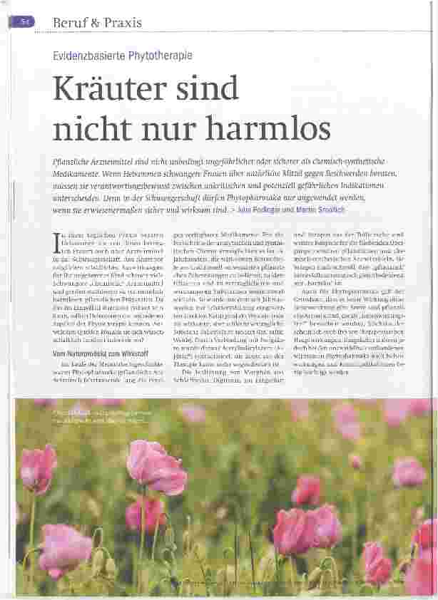 Vorschauseite 1: Kräuter sind nicht nur harmlos