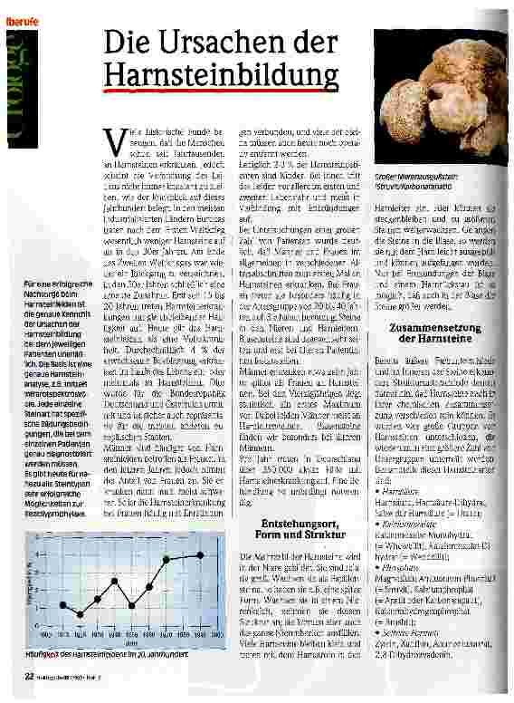 Vorschauseite 1: Die Ursachen der Harnsteinbildung