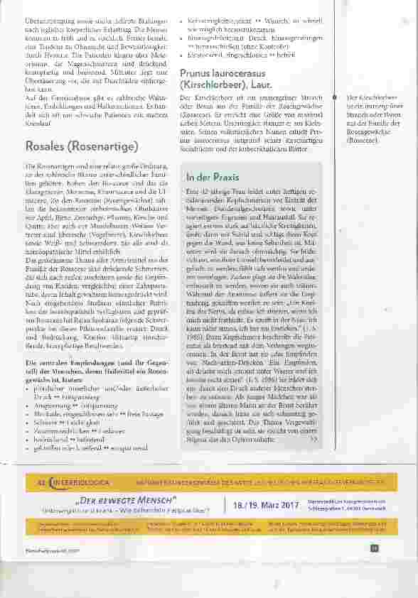 Vorschauseite 6: Bäume in der Homöopathie Die Behandlung akuter und chronischer Beschwerden mit Baumarzneien