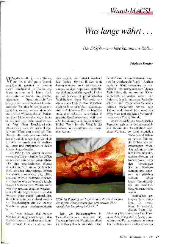 Vorschauseite 1: Was lange währt. .. Die DGfW - eine Idee kommt ins Rollen