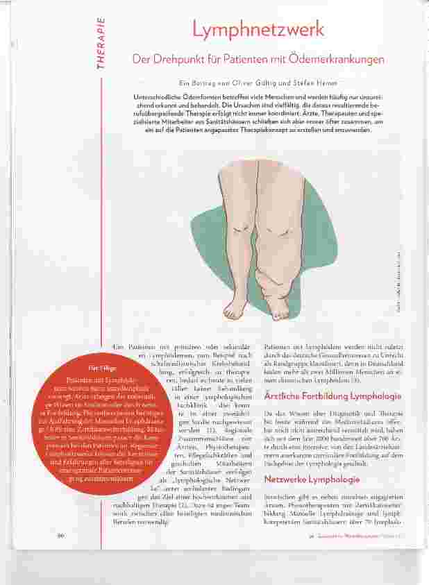 Vorschauseite 1: Lymphnetzwerk