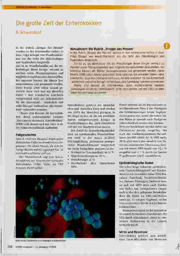 Vorschauseite 1: Die große Zeit der Enterokokken