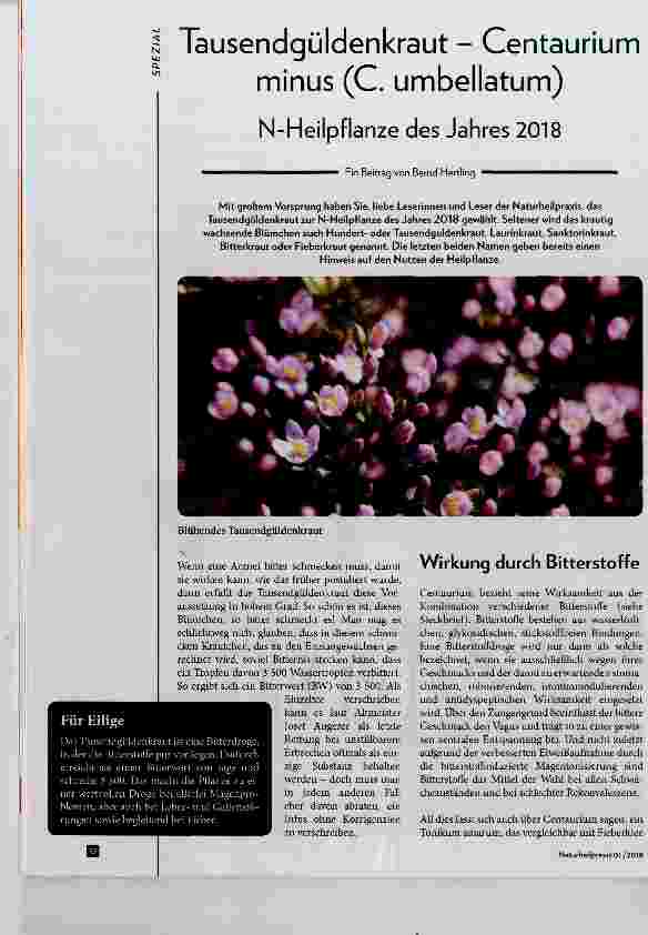 Vorschauseite 1: Tausendgüldenkraut Centaurium minus (C. umbellatum) N-Heilpflanze des Jahres 2018