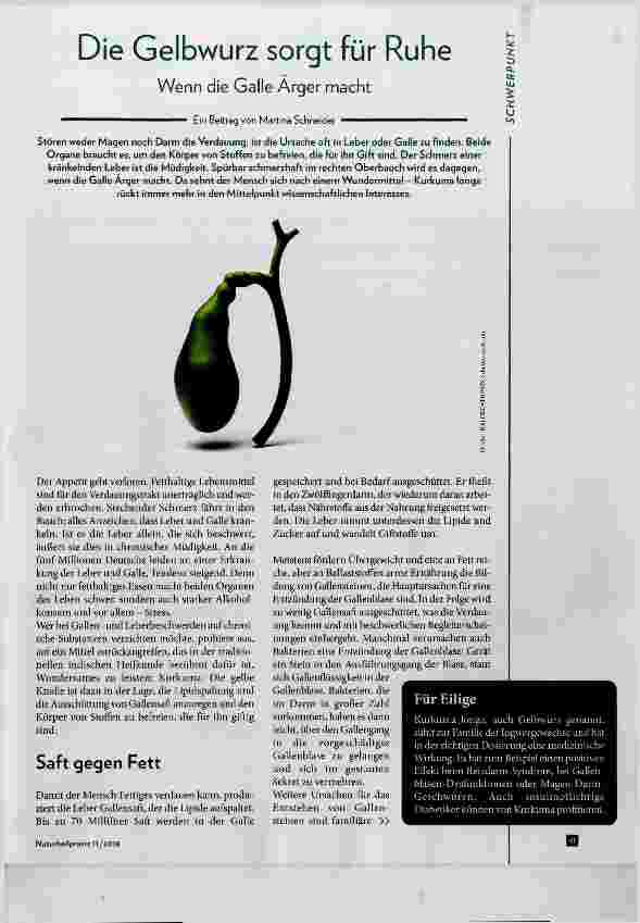 Vorschauseite 1: Die Gelbwurz sorgt für Ruhe