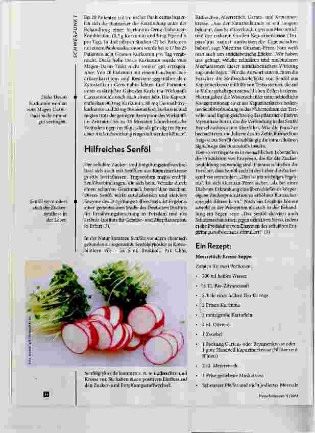Vorschauseite 4: Die Gelbwurz sorgt für Ruhe
