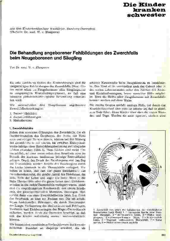 Vorschauseite 1: Die Behandlung angeborener Fehlbildungen des Zwerchfells beim Neugeborenen und Säugling