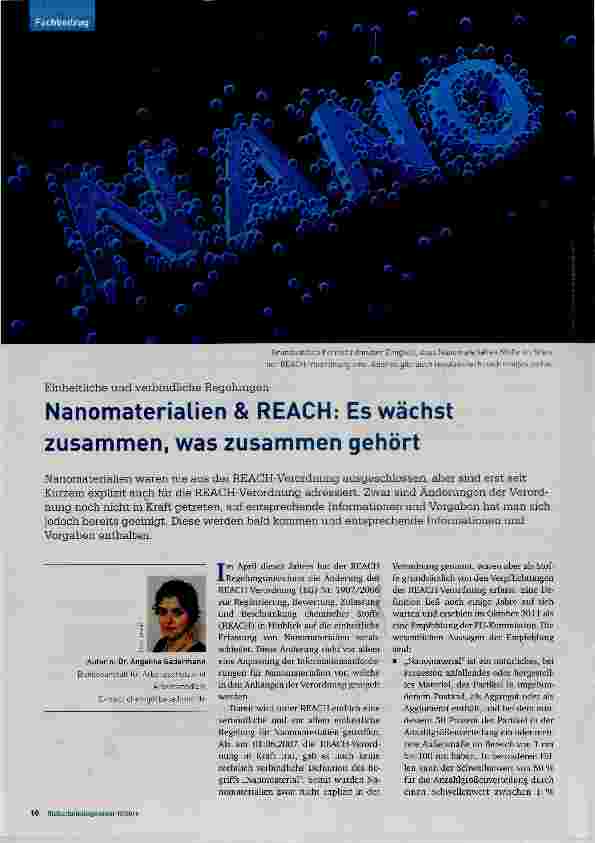 Vorschauseite 1: Nanomaterialien & REÄCH: Es wächst zusammen, was zusammen gehört