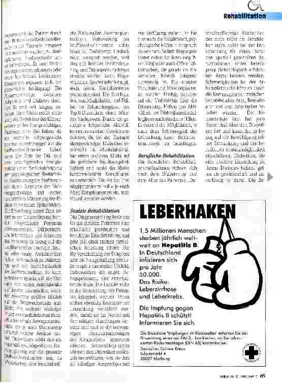 Vorschauseite 2: Rehabilitation von Diabetikern Konzeptentwicklung unter Berücksichtitung medizinischer, sozialer und beruflicher Rehabilitationsmaßnahmen