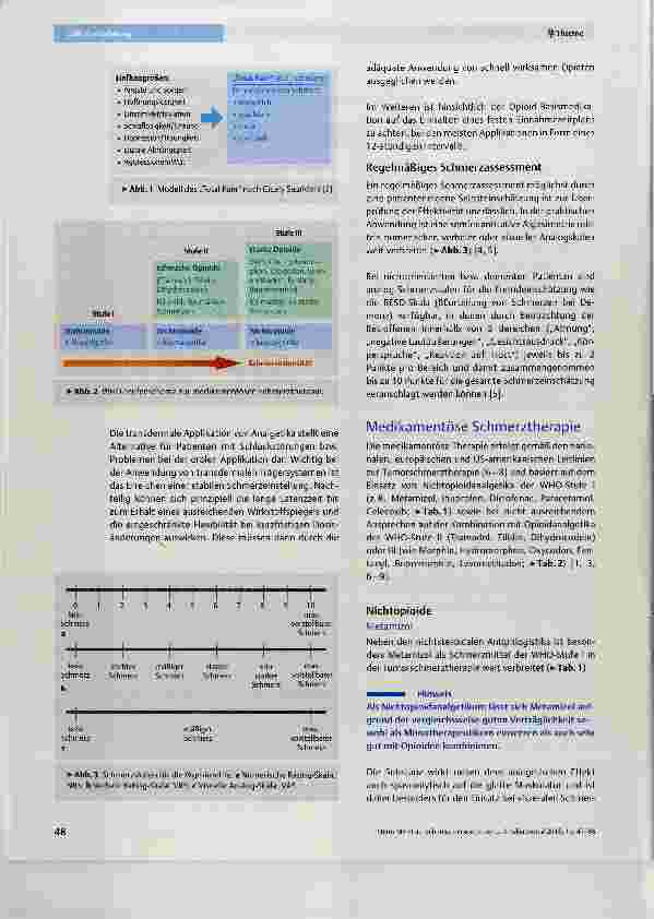 Vorschauseite 2: Schmerztherapie in der Paiiiativmedizin Pain Management in Paiiiative Care