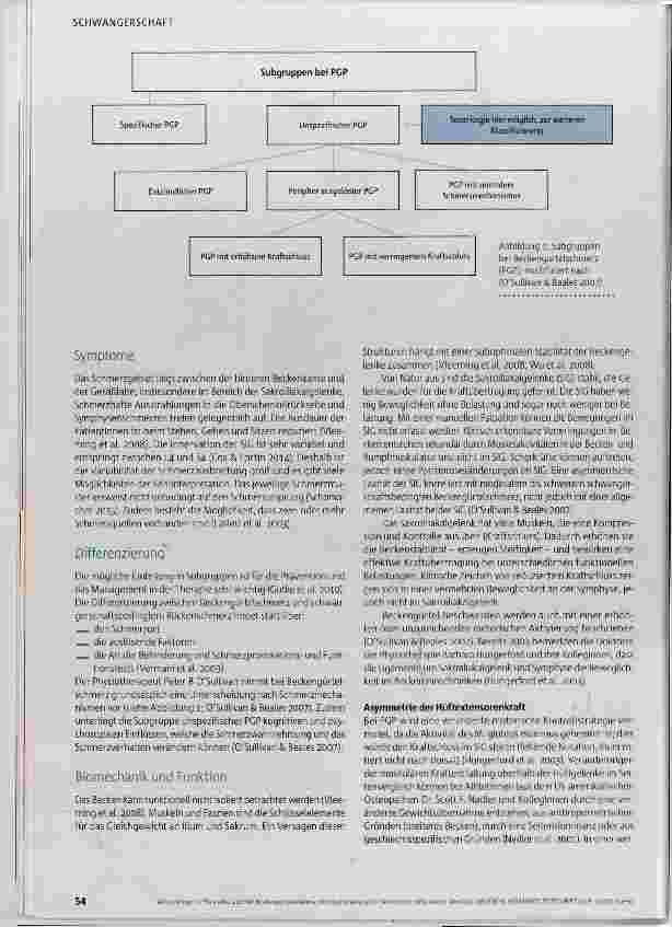 Vorschauseite 3: Ort und Ursprung der Schmerzen nicht immer identisch