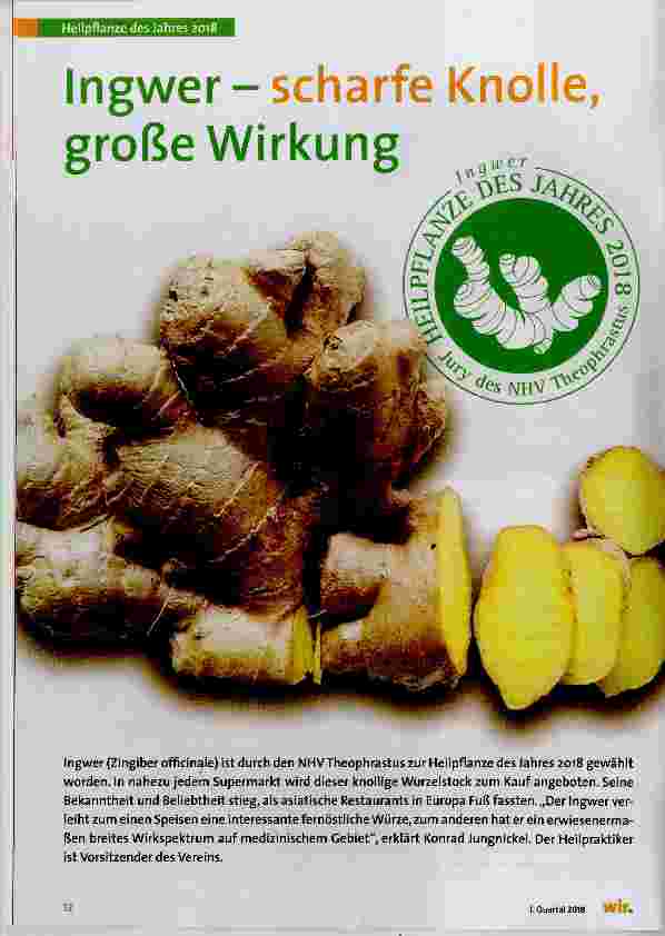 Vorschauseite 1: Ingwer - scharfe Knolle, große Wirkung