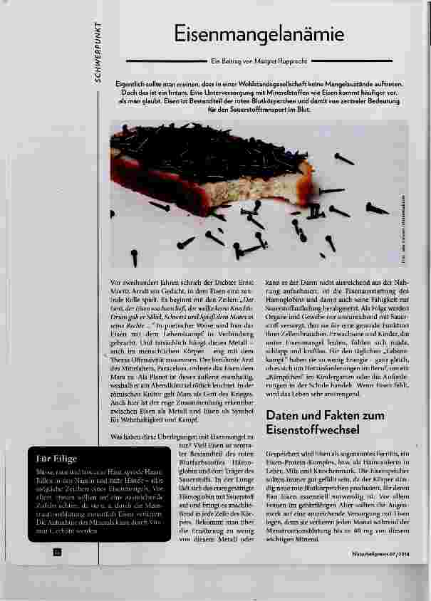 Vorschauseite 1: Eisenmangelanämie