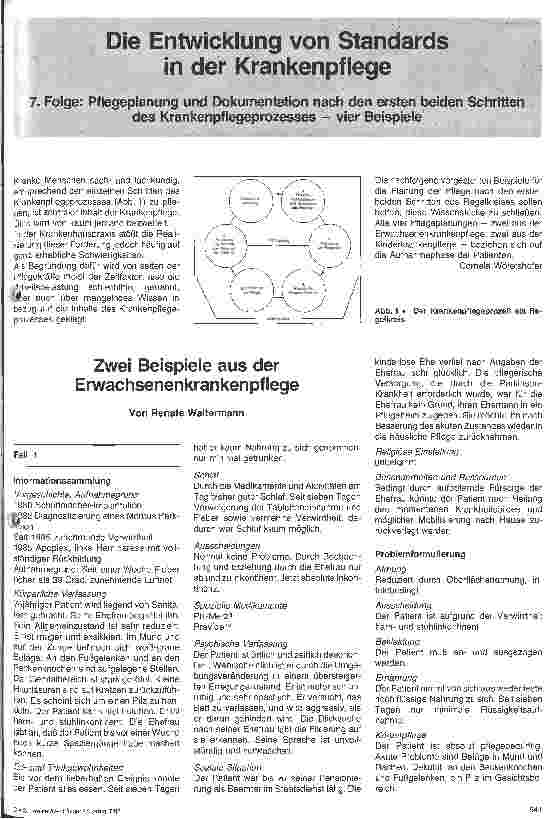 Vorschauseite 1: Die Entwicklung von Pflegestandards in der Krankenpflege/Pflegeplanung u. Dokumentation nach den ersten beiden Schritten des Pflegeprozesses