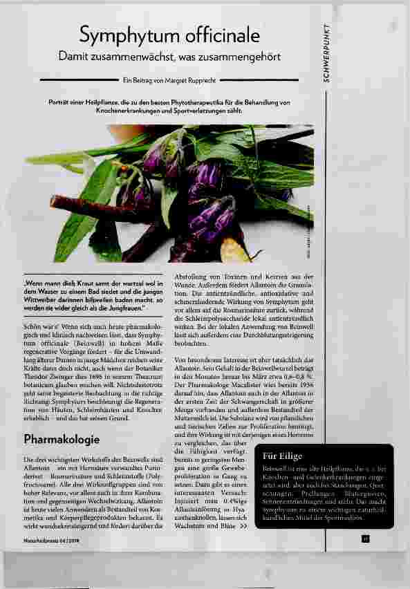 Vorschauseite 1: Symphytum officinale Dannit zusammenwächst, was zusammengehört