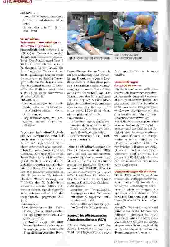 Vorschauseite 3: Der pflegebasierte Akutschmerzdienst