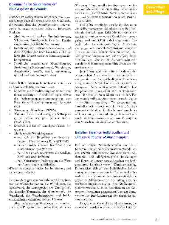 Vorschauseite 3: Ein verbindliches Instrument zum Umgang mit chronischen Wunden