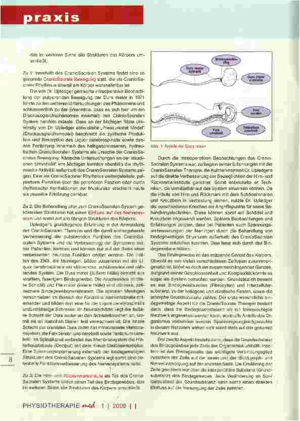 Vorschauseite 4: Upledger CranioSacrale Therapie Hintergründe, Grundlagen, Anwendungsmöglichkeiten