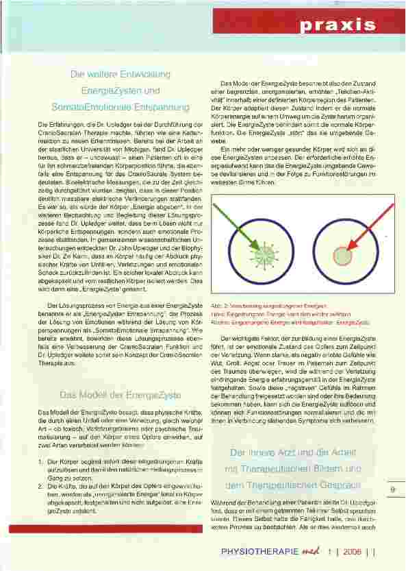 Vorschauseite 5: Upledger CranioSacrale Therapie Hintergründe, Grundlagen, Anwendungsmöglichkeiten