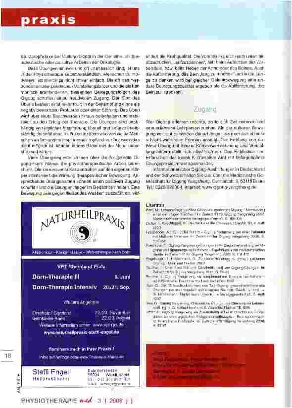 Vorschauseite 3: Qigong in der Physiotherapie